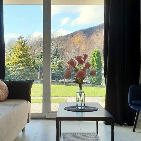 Apartamenty Nad Zylica Przy Deptaku - Dream Apart Szczyrk Exteriör bild